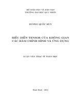 Biểu diễn tensor của không gian các hàm chỉnh hình và ứng dụng