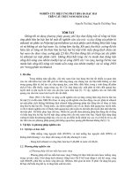 Nghiên cứu hiệu ứng phát hòa ba bậc hai trên cấu trúc nano kim loại