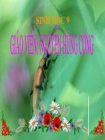 giáo án bồi dưỡng thao giảng, thi giáo viên giỏi môn sinh học lớp 9 bài 17 mối quan hệ giữa gen và arn (9)