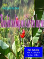 KHUC HAT RU NHUNG EM BE LON TREN LUNG ME