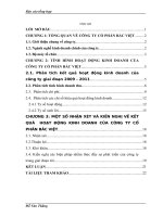 báo cáo hoạt động kinh doanh của công ty cổ phần bắc việt