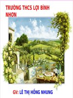 giáo án bồi dưỡng thao giảng, thi giáo viên giỏi môn sinh học lớp 9 bài 17 mối quan hệ giữa gen và arn (4)