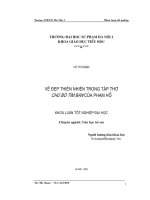 khóa luận tốt nghiệp vẻ đẹp thiên nhiên trong tập thơ chú bò tìm bạn của phạm hổ