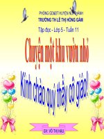 TĐ: Chuyện một khu vườn nhỏ