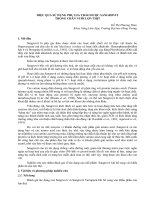 HIỆU QUẢ SỬ DỤNG PHỤ GIA THẢO DƯỢC SANGROVIT TRONG CHĂN NUÔI LỢN THỊT