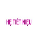 Tổng quan về hệ tiết niệu
