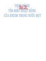 bài 26. thuc hanh: tìm hiểu hoạt động của enzim trong nước bọt
