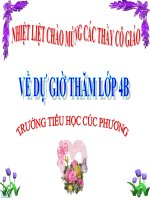 Tiếng việt ôn tập tuần 10 lớp 4