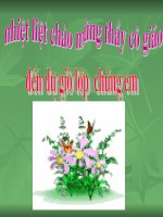 TĐ5 BÀI : CHUYỆN MỘT KHU VƯỜN NHỎ