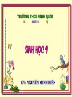 giáo án bồi dưỡng thao giảng, thi giáo viên giỏi môn sinh học lớp 9 bài 17 mối quan hệ giữa gen và arn (8)