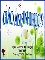 giáo án bồi dưỡng thao giảng, thi giáo viên giỏi môn sinh học lớp 9 bài 17 mối quan hệ giữa gen và arn (10)