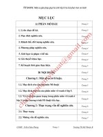 Báo cáo SKKN Một số giải pháp giúp học sinh TH học tốt phânmônvẽ tranh