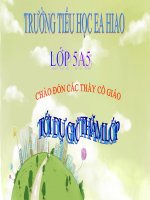 tập đọc hành trình của bầy ong CKTKN và KNS