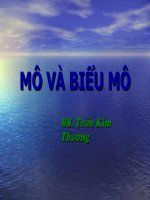 Tổng quan về mô và biểu mô