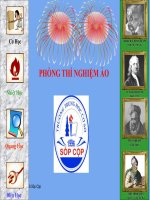 Thí nghiệm ảo Vật lý