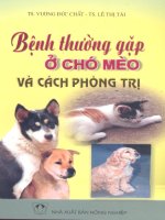 Bệnh thường gặp ở chó mèo và biện pháp phòng trị