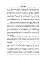 Chuyên đề kế toán tập hợp chi phí sản xuất và tính giá thành sản phẩm tại Công ty CP Ắc quy tia sáng Hải phòng