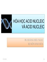 Tổng quan hóa học nucleic