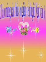 Bai 8. Tiet 21 CAY BUT THAN