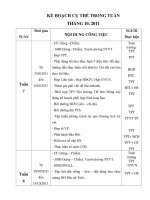 KH CỤ THỂ TRONG TUẦN T.10.2011