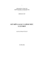 bất biến gauge và hình thức luận brst