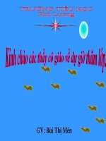 mặt trời xanh của tôi