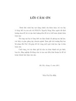 Nón tiệm cận, Hàm tiệm cận và ứng dụng