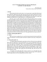 XỬ LÝ VÀ BẢO QUẢN THÂN CÂY SẮN SAU THU HOẠCH  LÀM THỨC ĂN CHO TRÂU BÒ