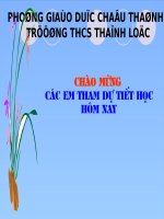 Dia 8 bµi 10 Khu vuc Nam A