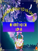 Thứ tự kể trong văn tự sụ