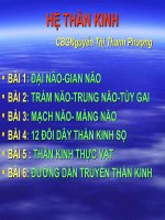 Bài giảng tổng thể về hệ thần kinh hay