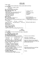 GIÁO ÁN 10 BUỔI LỚP 5 TUẦN 9,10,11