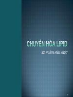Quá trình chuyển hóa lipid
