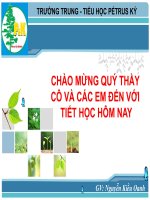 bai giang giao vien gioi(UD co ban cua Internet)