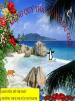 tiết 41 Đa dạng và đặc điểm chung của lớp lưỡng cư