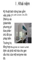 tách dòng gen từ DNA