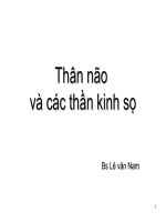 Thân não và các thần kinh sọ