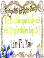 ct su tich cay vu sua