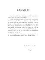 Ứng dụng của nghiệm Nhớt trong lý thuyết điều khiển tối ưu và trò chơi vi phân