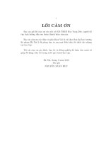 Phương trình chuyển động của các trường thành phần trong phiếm hàm dây