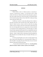 khóa luận tốt nghiệp lựa chọn phương pháp tối ưu để diệt vi khuẩn acetobacter xylinum có trên màng bc