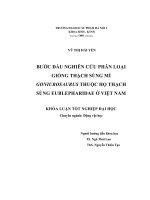 khóa luận tốt nghiệp bước đầu nghiên cứu phân loại giống thạch sùng mí goniurosaurus thuộc họ thạch sùng eublepharidae ở việt nam
