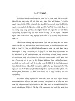 Nghiên cứu nguy cơ tồn dư qua tỷ lệ TGHDLC ở bệnh nhân bệnh mạch vành