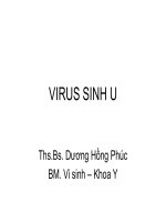 Bài giảng về virut sinh u