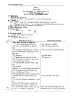 giáo án mĩ thuật lớp 4