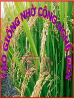 Bai 20 tiet 21 tao giong nho cong nghe gen CB