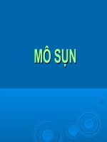 Bài giảng về mô sụn