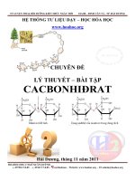 2011 - Ly thuyet & bai tap ve cacbonhidrat