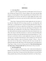 phát triển hệ thống bán lẻ của tổng công ty thương mại hà nội