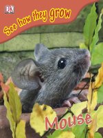 mouse - see how they grow
